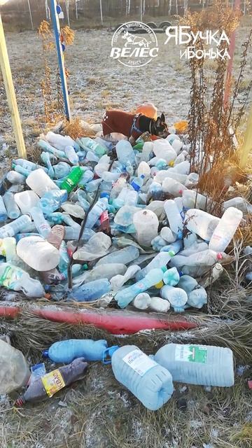 Мастер клас по выборке предмета