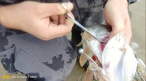 РЫБАЛКА АСТРАХАНЬ 2025 
 ДВОЕ в ПАЛАТКЕ и СОБАКЕН
часть 2