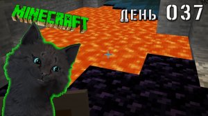 Minecraft СУПЕР КОТ СЛУЧАЙНО СДЕЛАЛ ИЗ ЛАВЫ ОБСИДИАНТ  🐱 МАЙНКРАФТ ВЫЖИВАНИЕ ДЕНЬ 037