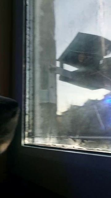 video_2025-12-14_19-08-34 смотреть онлайн