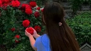 🥀 цыганская песня 🥺 Слушаю ветер 🥀2025