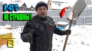 СЕКРЕТ ЗИМОВКИ ПЧЕЛ НА УЛИЦЕ (НА ВОЛЕ) ПРИ ТЕМПЕРАТУРЕ -45°C. ПЧЕЛОВОДСТВО 25-41