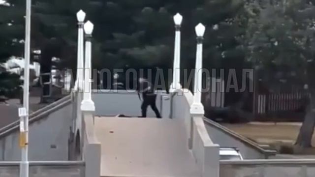 Появилось полное видео теракта в Австралии смотреть онлайн