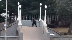 Появилось полное видео теракта в Австралии