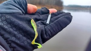 ЗАВИСЛА приманка В ТОЛЩЕ, КРУПНЯК СХВАТИЛ. Отводной на окуня, Рыбалка на спиннинг в 2025