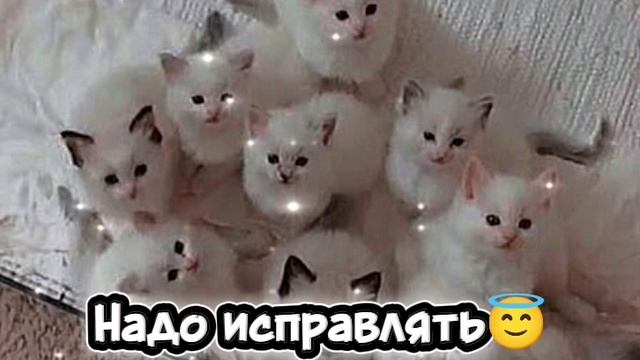 Подпишись пожалуйста 🛐💗 смотреть онлайн