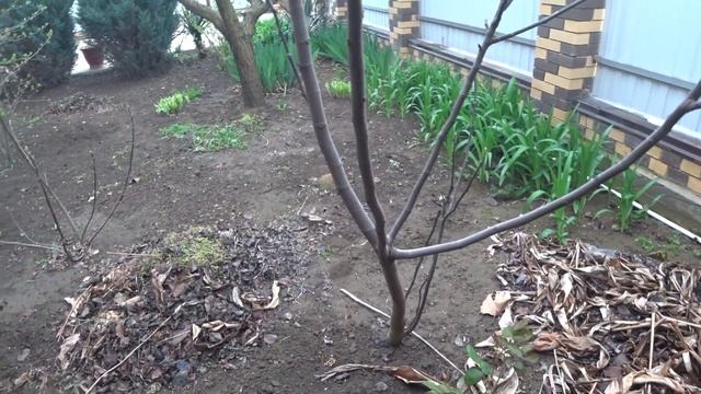 10 ЛЕТ ЖИВЁМ В АНАПЕ. ГОТОВИМ МЯСО В ТАНДЫРЕ. смотреть онлайн