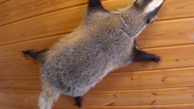 ПОЕХАЛИ В БАНЮ С ДРУЗЬЯМИ. смотреть онлайн