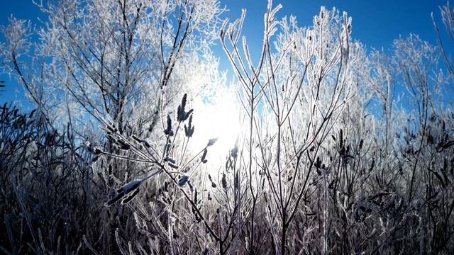 НИКОЛАЙ РУБЦОВ
Ах, кто не любит первый снег
В замерзших руслах тихих рек,
В полях, в селеньях и в бо смотреть онлайн