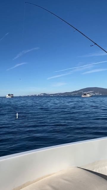 Ловим ставридку в Адлере. смотреть онлайн