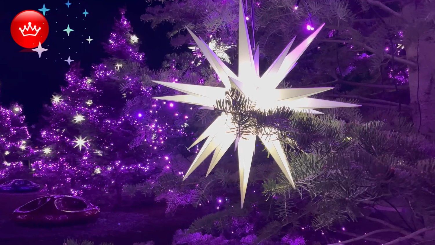 Парк Галицкого новогодняя Атмосфера праздника 2026🐴 смотреть онлайн