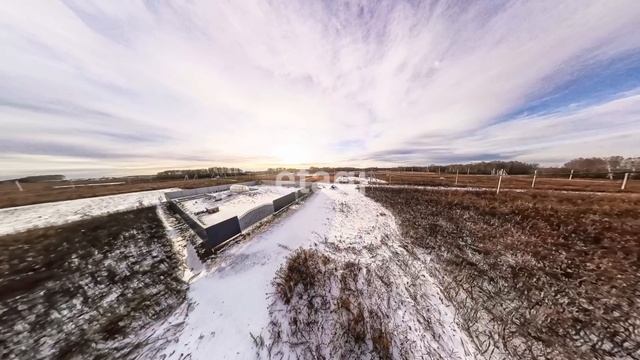 10597442 смотреть онлайн