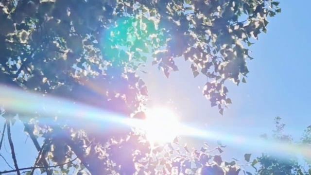 В моменте. Автор Белецкая Елена