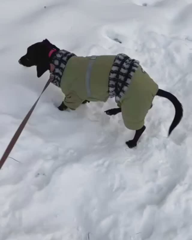 Девочка Вива. Показываю её в переделанном комбинезоне. Думаю, что второй ещё больше надо удленнить. смотреть онлайн