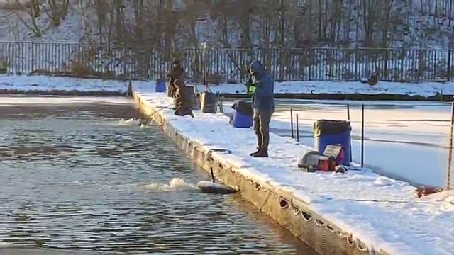Дуплет смотреть онлайн