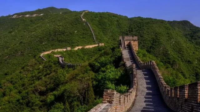 «Путь дракона»