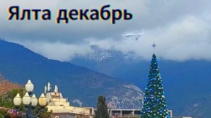 Крым зимой: Время неспешных прогулок.Собаки. Жизнь на море / Ялта