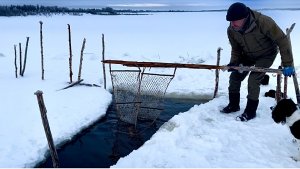 Рыбалка фитилями. Такую Рыбу еще не ловил.