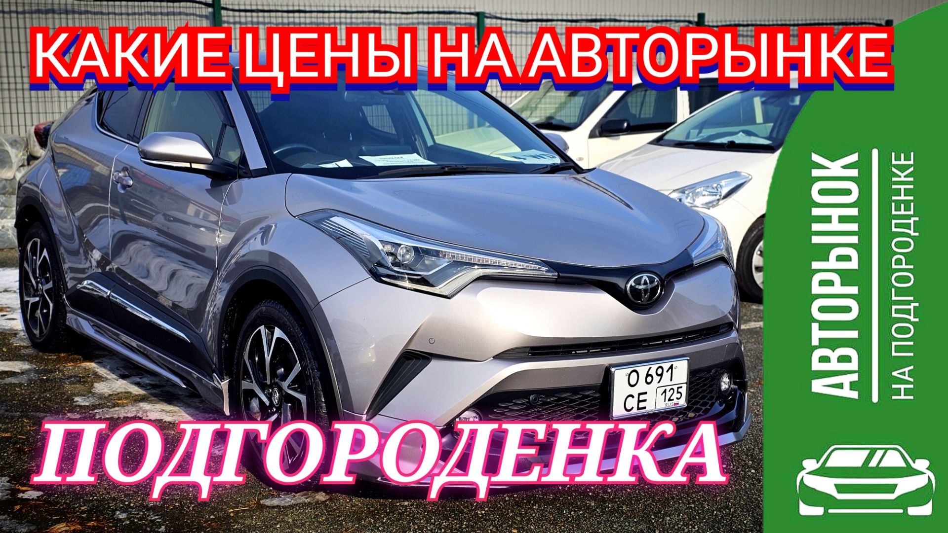 КАКИЕ ЦЕНЫ НА АВТОРЫНКЕ ПОДГОРОДЕНКА ? смотреть онлайн