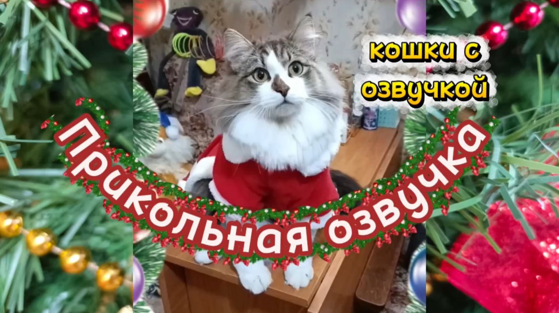 Кошки с озвучкой. Новогоднее настроение! смотреть онлайн