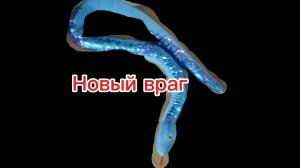 пять ночей с акулой 2 ночь