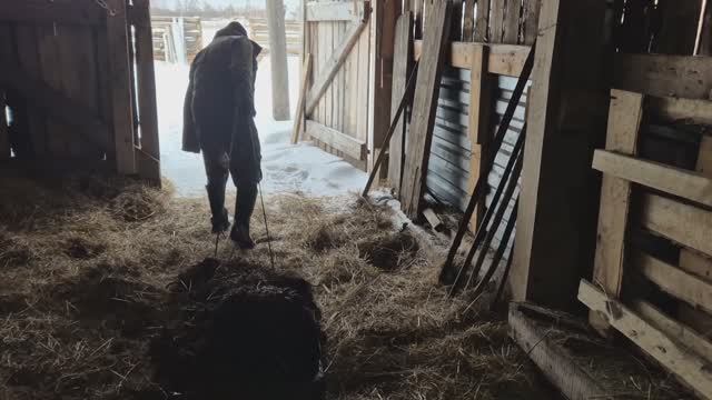 Олег работает в стайке/ну я завелась/ копчу гуся/ смотреть онлайн