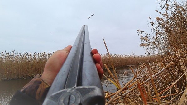 С ДЕДОВСКИМ РУЖЬЁМ В КАМЫШОВУЮ ТАЙГУ. ТЫСЯЧИ ПЕРЕЛЁТНЫХ УТОК ЗИМУЮТ ЗДЕСЬ. Охота на утку с чучелами.