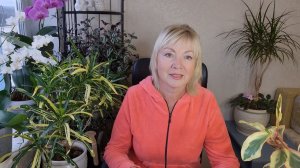 Погода удивляет.Планы на посадку томатов.Что увидели на даче. Покупка продуктов Ужин по нашему