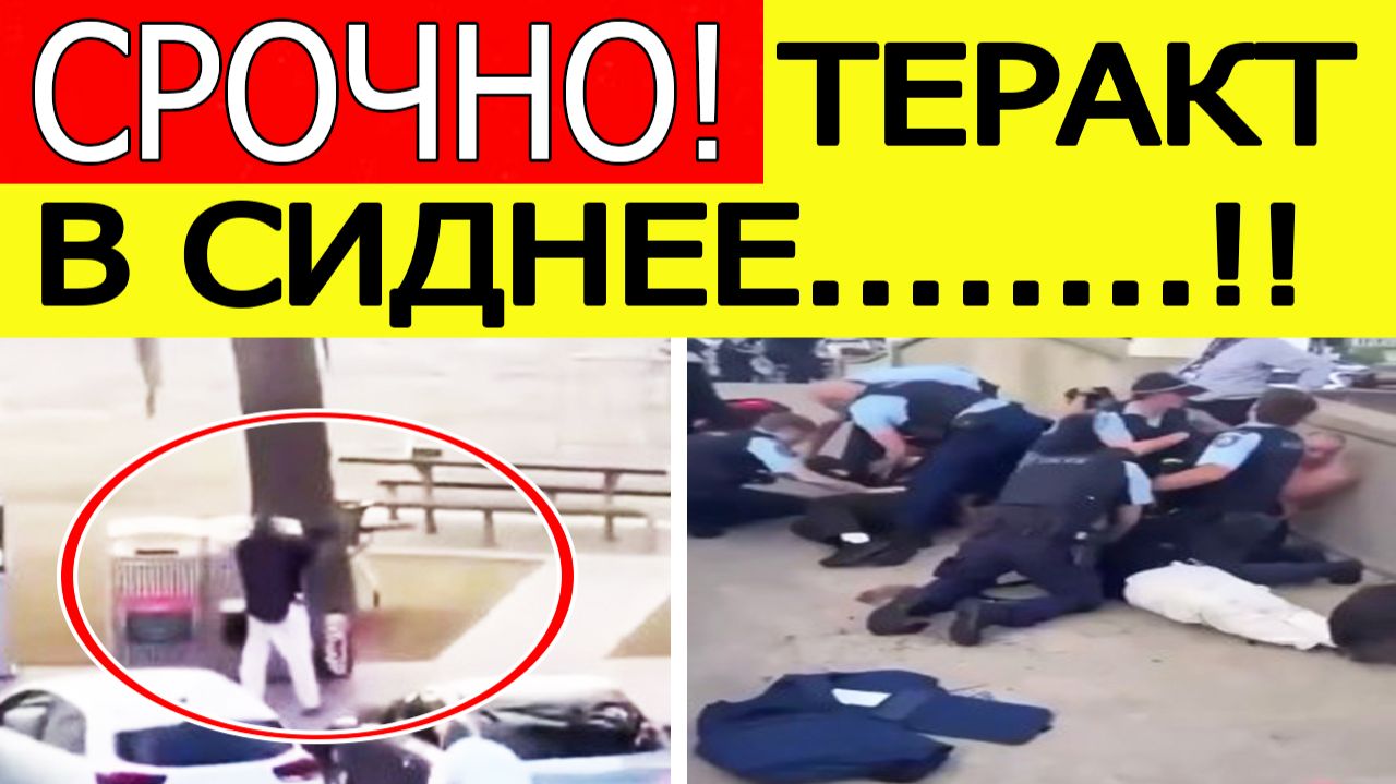 Теракт в Австралии : стрельба на пляже Бонди в Сиднее — десятки погибших и раненых смотреть онлайн