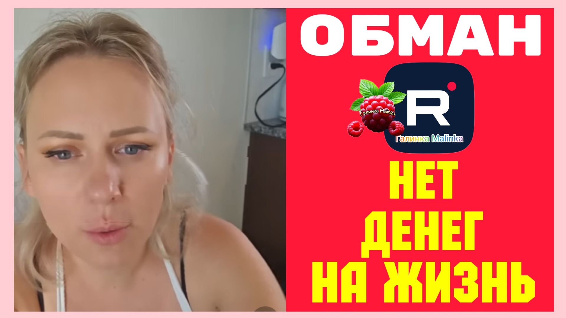 Лиса в Америке _Обман_ Нет денег на жизнь _Обзор _Funny 4 _Big Big Family In The USA _Жизнь в USA