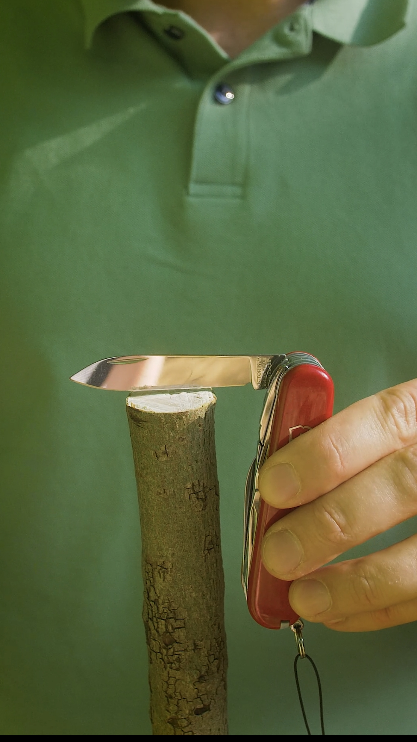 этот лайфхак тебе пригодится смотреть онлайн