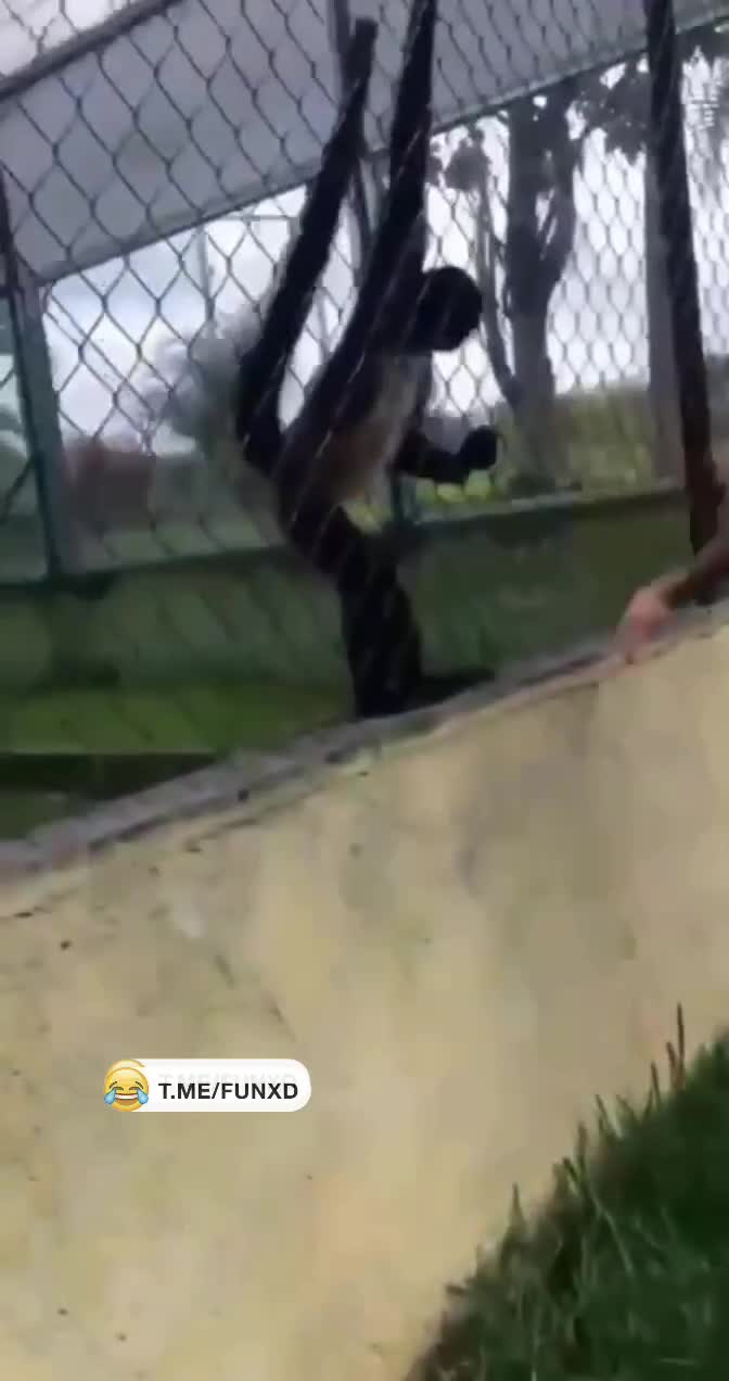 Карма в действии😁 смотреть онлайн