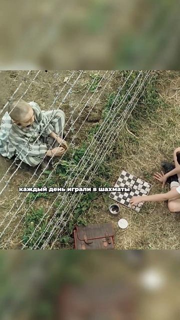 Мой новый друг живёт за забором смотреть онлайн