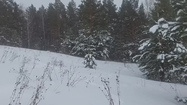 Все так и было . Вторая сопка .Гремячая грива.Красноярск смотреть онлайн