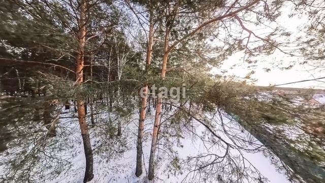 1876253 смотреть онлайн