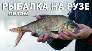 Рыбалка на Рузе летом. Ловля леща, подлещика и густеры на фидер.