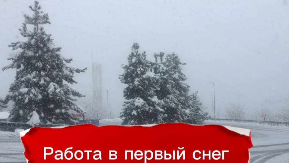 Кинули на деньги? / Забастовка 15 декабря / Первый снег в Поляне смотреть онлайн