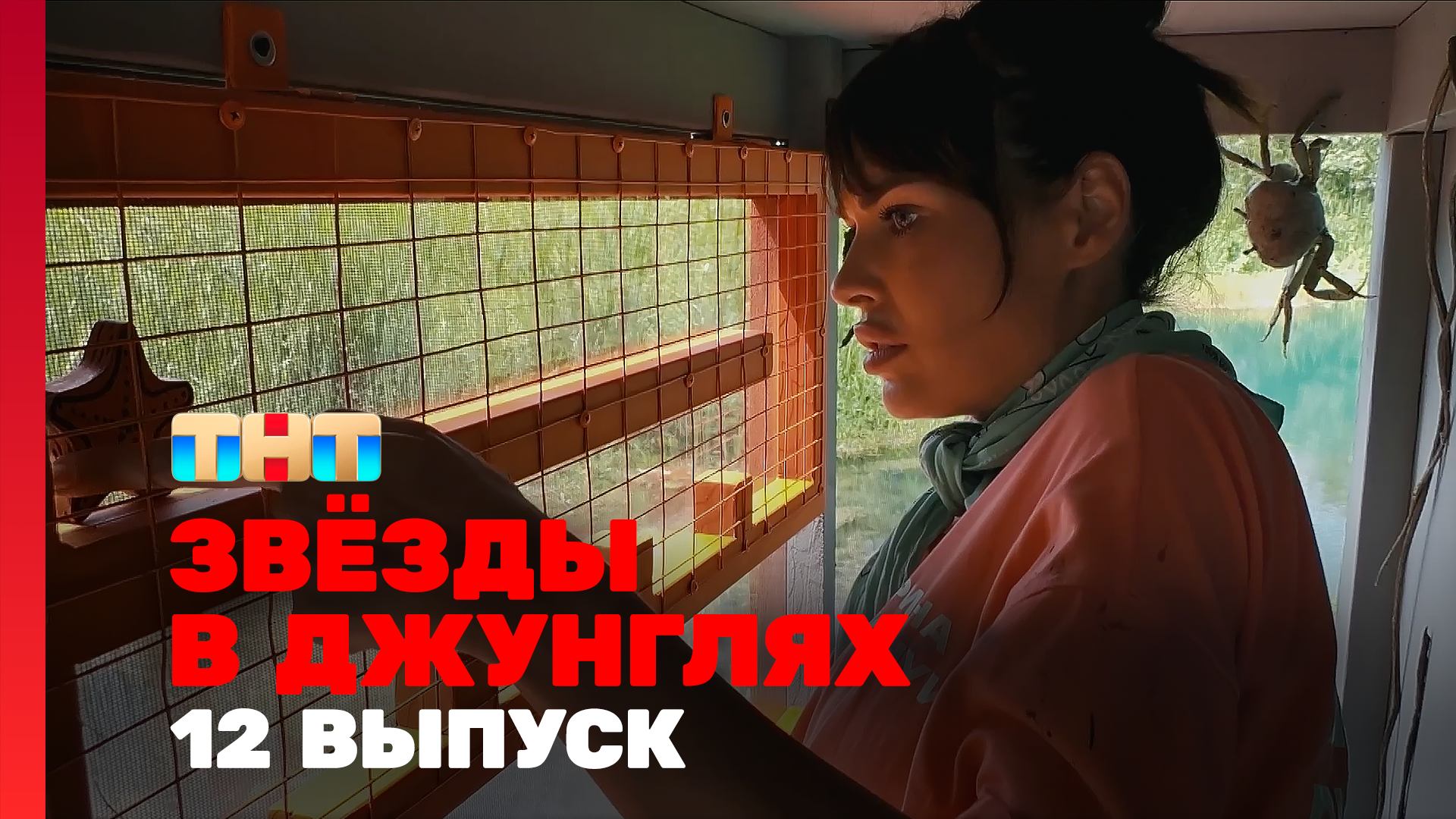 Звёзды в джунглях, 2 сезон, 12 выпуск смотреть онлайн