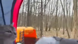 очень странные дела в реальной жизни 😱(перезалив)