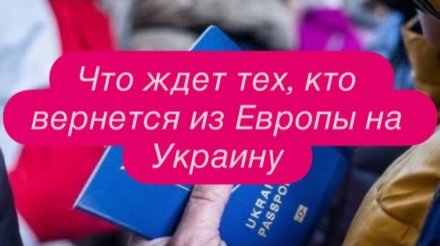 Как украинские беженцы смеются над своими же, кто вышел на работу. #новости #беженцыизукраины смотреть онлайн
