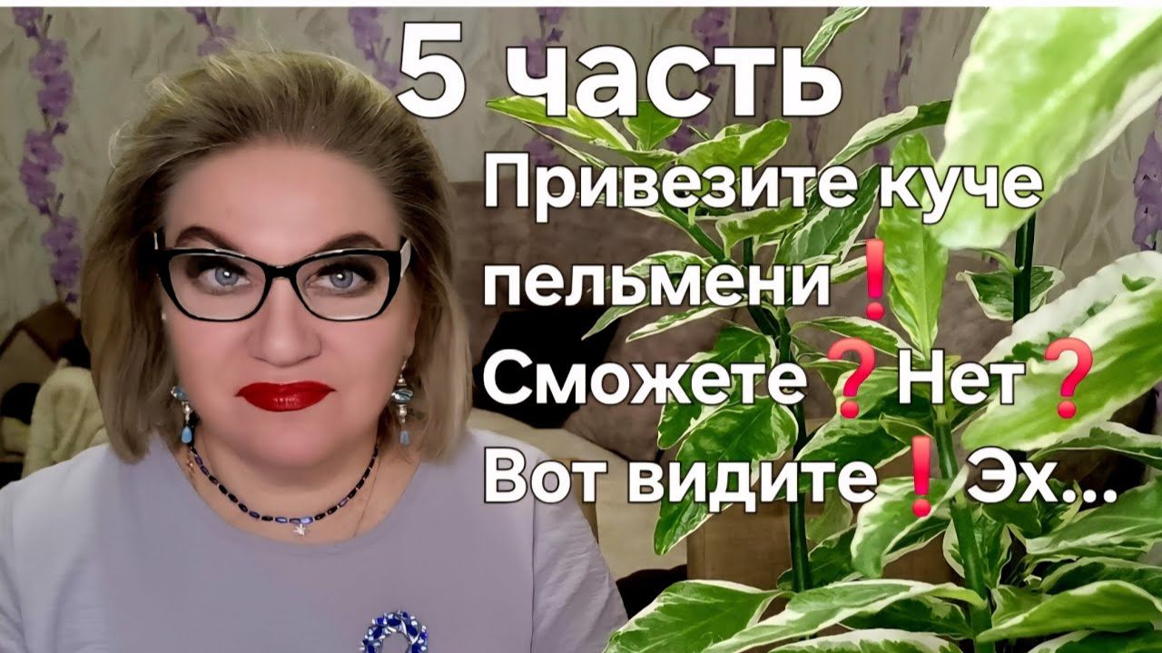 Привезите куче пельмени❗️Сможете❓️Нет❓️Вот видите❗️Эх... смотреть онлайн