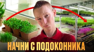 Я НАЧАЛ С ПОДОКОННИКА — ТЕПЕРЬ У МЕНЯ ФЕРМА МИКРОЗЕЛЕНИ