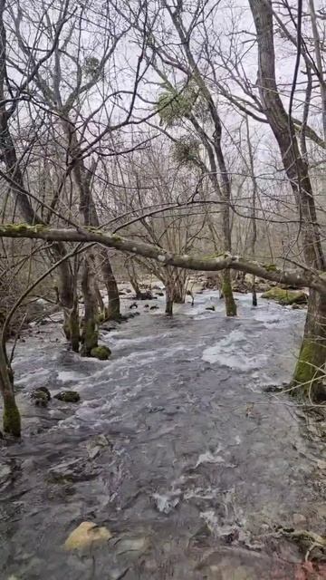 Крым Исток Черной Реки Вода бьет фонтаном прям с горы смотреть онлайн
