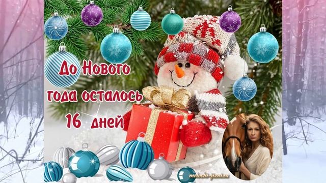 До Нового года осталось 16 дней.