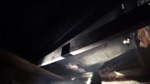 Ремонт землянки в Чернобыле после пожара.Волки пришли в гости. (Влад Резнов) реакция