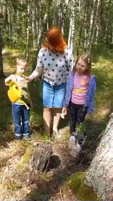 Нет грибов у нас в лесу