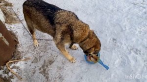 61 летняя пенсионерка и воскресный блог