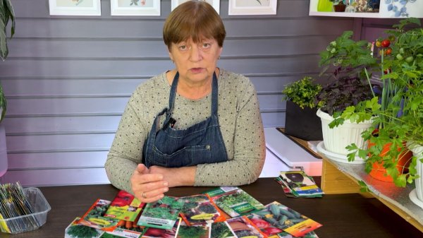 Семена на 2026 г. Как выбирала.