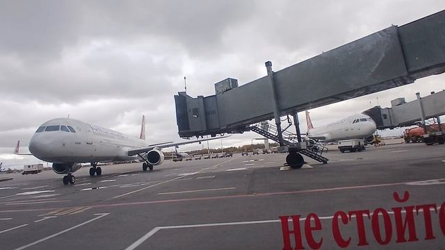 12-10-2025 рейс 6004 внуково САНКТ-ПЕТЕРБУРГ аэропорт пулково часть-6 смотреть онлайн