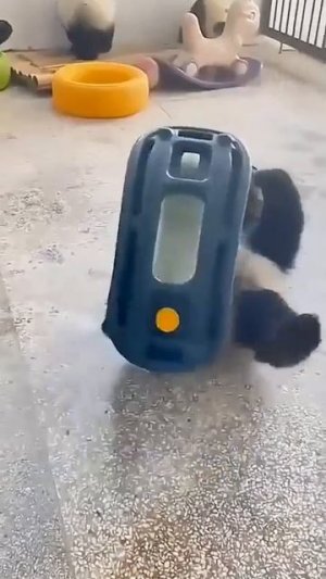 Видео от МЯУтаверс – как метавселенная, но с котами